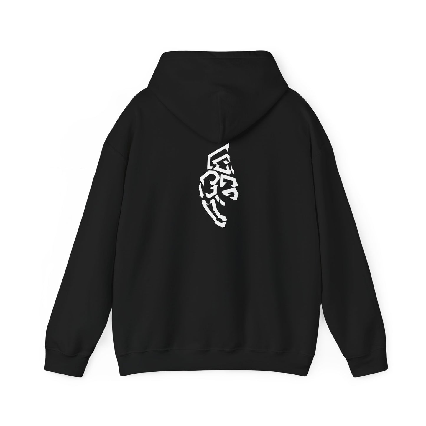 SPARTAN HOODY 11 COLORS LOGO FRONT/BACK